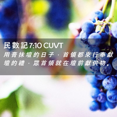 Picture 02 - 民 數 記 7:10 CUVT - 用 膏 抹 壇 的 日 子 ， 首 領 都 來 - Bible Verse Picture
