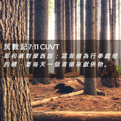 Picture 02 - 民 數 記 7:11 CUVT - 耶 和 華 對 摩 西 說 ： 眾 首 領 為 - Bible Verse Picture