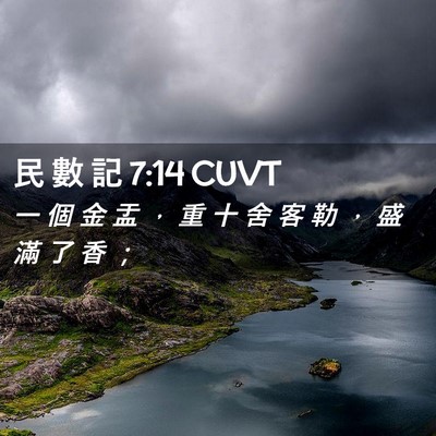 Picture 02 - 民 數 記 7:14 CUVT - 一 個 金 盂 ， 重 十 舍 客 勒 ， 盛 - Bible Verse Picture