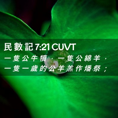 Picture 02 - 民 數 記 7:21 CUVT - 一 隻 公 牛 犢 ， 一 隻 公 綿 羊 ， - Bible Verse Picture