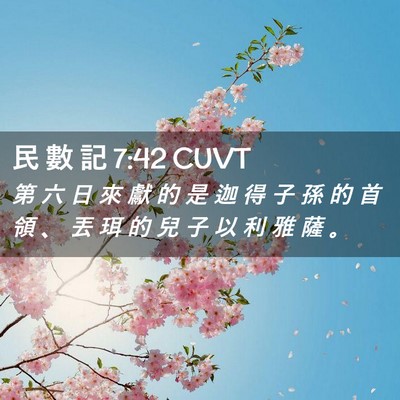 Picture 02 - 民 數 記 7:42 CUVT - 第 六 日 來 獻 的 是 迦 得 子 孫 的 - Bible Verse Picture