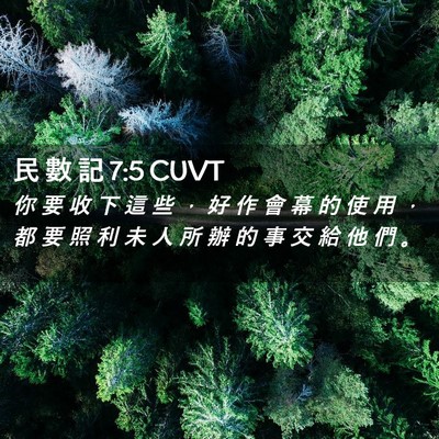 Picture 02 - 民 數 記 7:5 CUVT - 你 要 收 下 這 些 ， 好 作 會 幕 的 - Bible Verse Picture