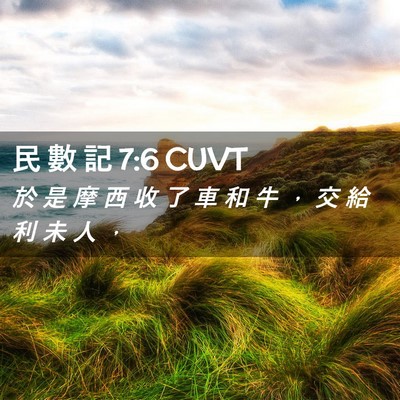 Picture 02 - 民 數 記 7:6 CUVT - 於 是 摩 西 收 了 車 和 牛 ， 交 給 - Bible Verse Picture