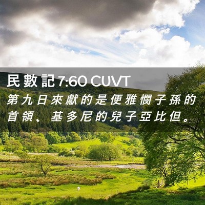Picture 02 - 民 數 記 7:60 CUVT - 第 九 日 來 獻 的 是 便 雅 憫 子 孫 - Bible Verse Picture