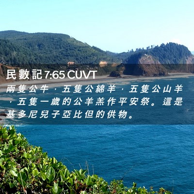 Picture 02 - 民 數 記 7:65 CUVT - 兩 隻 公 牛 ， 五 隻 公 綿 羊 ， 五 - Bible Verse Picture
