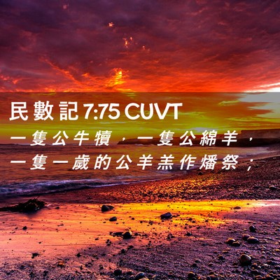 Picture 02 - 民 數 記 7:75 CUVT - 一 隻 公 牛 犢 ， 一 隻 公 綿 羊 ， - Bible Verse Picture