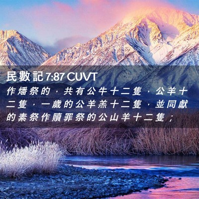 Picture 02 - 民 數 記 7:87 CUVT - 作 燔 祭 的 ， 共 有 公 牛 十 二 隻 - Bible Verse Picture