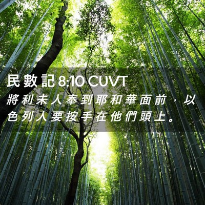 Picture 02 - 民 數 記 8:10 CUVT - 將 利 未 人 奉 到 耶 和 華 面 前 ， - Bible Verse Picture