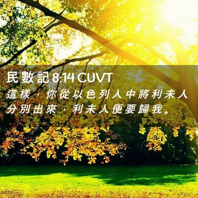 Picture 02 - 民 數 記 8:14 CUVT - 這 樣 ， 你 從 以 色 列 人 中 將 利 - Bible Verse Picture