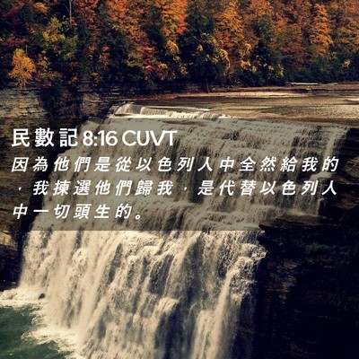 Picture 02 - 民 數 記 8:16 CUVT - 因 為 他 們 是 從 以 色 列 人 中 全 - Bible Verse Picture