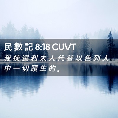 Picture 02 - 民 數 記 8:18 CUVT - 我 揀 選 利 未 人 代 替 以 色 列 人 - Bible Verse Picture