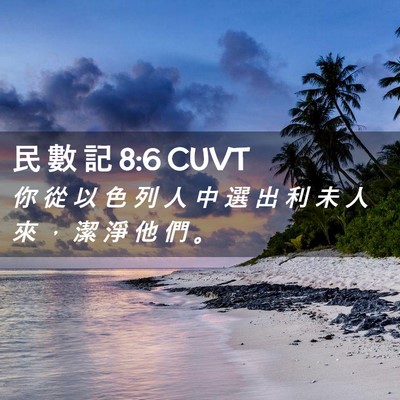 Picture 02 - 民 數 記 8:6 CUVT - 你 從 以 色 列 人 中 選 出 利 未 人 - Bible Verse Picture