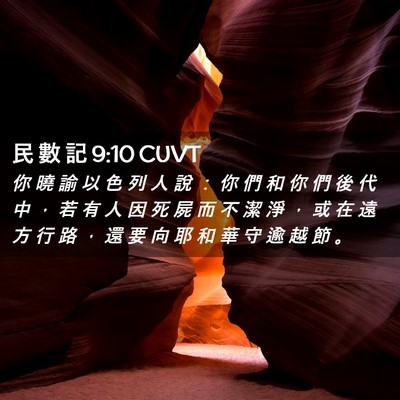 Picture 02 - 民 數 記 9:10 CUVT - 你 曉 諭 以 色 列 人 說 ： 你 們 和 - Bible Verse Picture