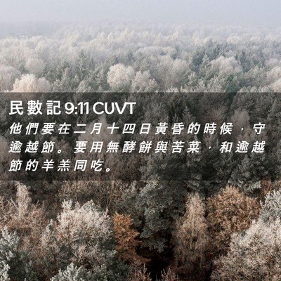 Picture 02 - 民 數 記 9:11 CUVT - 他 們 要 在 二 月 十 四 日 黃 昏 的 - Bible Verse Picture