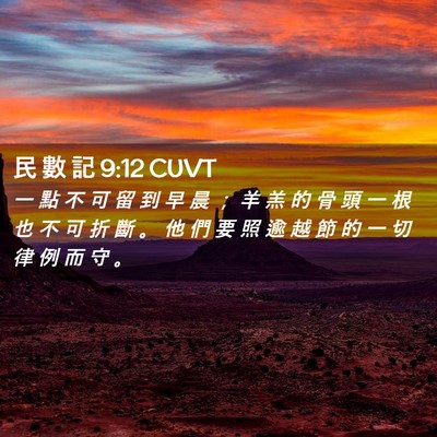 Picture 02 - 民 數 記 9:12 CUVT - 一 點 不 可 留 到 早 晨 ； 羊 羔 的 - Bible Verse Picture