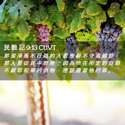Picture 02 - 民 數 記 9:13 CUVT - 那 潔 淨 而 不 行 路 的 人 若 推 辭 - Bible Verse Picture