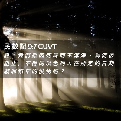 Picture 02 - 民 數 記 9:7 CUVT - 說 ： 我 們 雖 因 死 屍 而 不 潔 淨 - Bible Verse Picture
