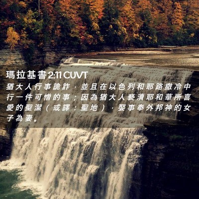 Picture 02 - 瑪 拉 基 書 2:11 CUVT - 猶 大 人 行 事 詭 詐 ， 並 且 在 以 - Bible Verse Picture
