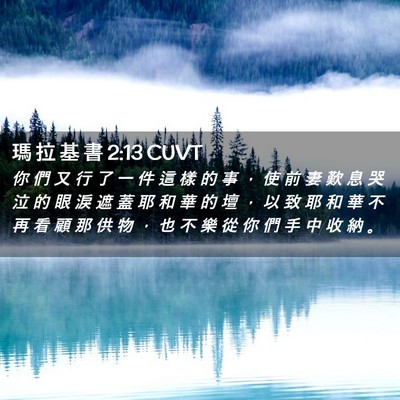 Picture 02 - 瑪 拉 基 書 2:13 CUVT - 你 們 又 行 了 一 件 這 樣 的 事 ， - Bible Verse Picture