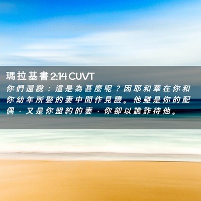 Picture 02 - 瑪 拉 基 書 2:14 CUVT - 你 們 還 說 ： 這 是 為 甚 麼 呢 ？ - Bible Verse Picture