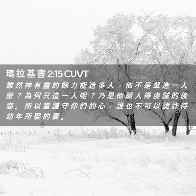 Picture 02 - 瑪 拉 基 書 2:15 CUVT - 雖 然 神 有 靈 的 餘 力 能 造 多 人 - Bible Verse Picture