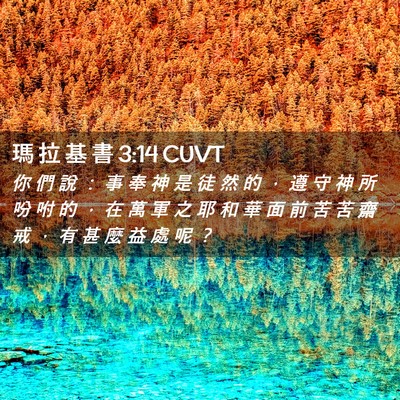 Picture 02 - 瑪 拉 基 書 3:14 CUVT - 你 們 說 ： 事 奉 神 是 徒 然 的 ， - Bible Verse Picture