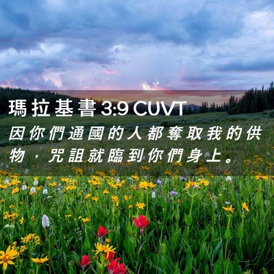 Picture 02 - 瑪 拉 基 書 3:9 CUVT - 因 你 們 通 國 的 人 都 奪 取 我 的 - Bible Verse Picture