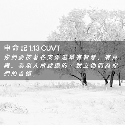 Picture 02 - 申 命 記 1:13 CUVT - 你 們 要 按 著 各 支 派 選 舉 有 智 - Bible Verse Picture