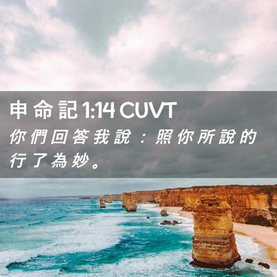 Picture 02 - 申 命 記 1:14 CUVT - 你 們 回 答 我 說 ： 照 你 所 說 的 - Bible Verse Picture