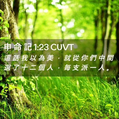Picture 02 - 申 命 記 1:23 CUVT - 這 話 我 以 為 美 ， 就 從 你 們 中 - Bible Verse Picture