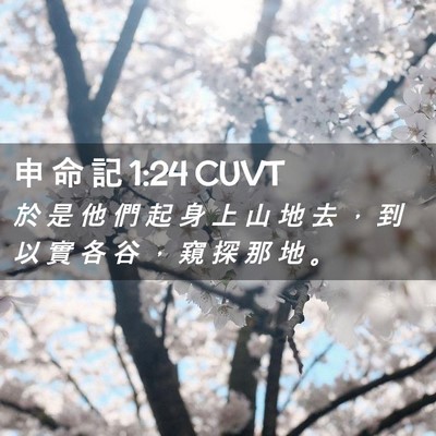 Picture 02 - 申 命 記 1:24 CUVT - 於 是 他 們 起 身 上 山 地 去 ， 到 - Bible Verse Picture