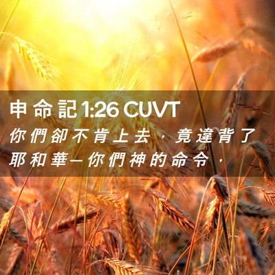 Picture 02 - 申 命 記 1:26 CUVT - 你 們 卻 不 肯 上 去 ， 竟 違 背 了 - Bible Verse Picture