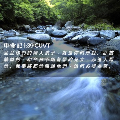 Picture 02 - 申 命 記 1:39 CUVT - 並 且 你 們 的 婦 人 孩 子 ， 就 是 - Bible Verse Picture