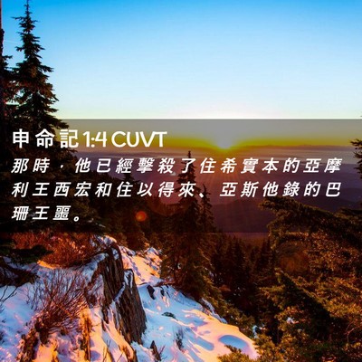 Picture 02 - 申 命 記 1:4 CUVT - 那 時 ， 他 已 經 擊 殺 了 住 希 實 - Bible Verse Picture