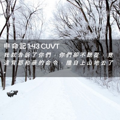 Picture 02 - 申 命 記 1:43 CUVT - 我 就 告 訴 了 你 們 ， 你 們 卻 不 - Bible Verse Picture