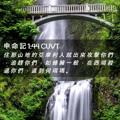 Picture 02 - 申 命 記 1:44 CUVT - 住 那 山 地 的 亞 摩 利 人 就 出 來 - Bible Verse Picture