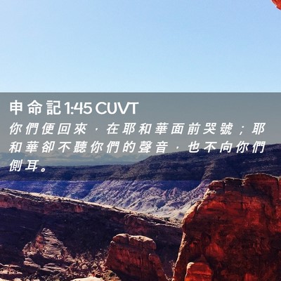 Picture 02 - 申 命 記 1:45 CUVT - 你 們 便 回 來 ， 在 耶 和 華 面 前 - Bible Verse Picture