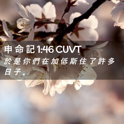 Picture 02 - 申 命 記 1:46 CUVT - 於 是 你 們 在 加 低 斯 住 了 許 多 - Bible Verse Picture