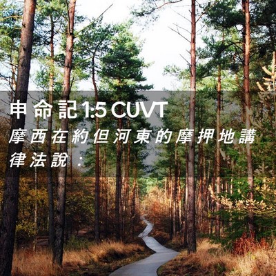 Picture 02 - 申 命 記 1:5 CUVT - 摩 西 在 約 但 河 東 的 摩 押 地 講 - Bible Verse Picture