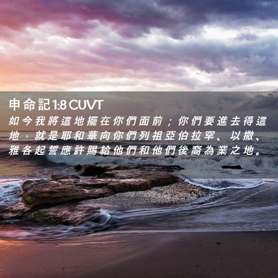 Picture 02 - 申 命 記 1:8 CUVT - 如 今 我 將 這 地 擺 在 你 們 面 前 - Bible Verse Picture