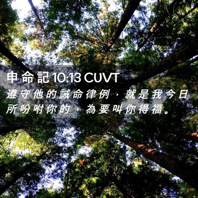 Picture 02 - 申 命 記 10:13 CUVT - 遵 守 他 的 誡 命 律 例 ， 就 是 我 - Bible Verse Picture