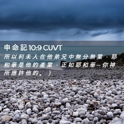 Picture 02 - 申 命 記 10:9 CUVT - 所 以 利 未 人 在 他 弟 兄 中 無 分 - Bible Verse Picture