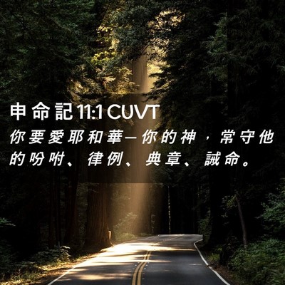 Picture 02 - 申 命 記 11:1 CUVT - 你 要 愛 耶 和 華 ─ 你 的 神 ， 常 - Bible Verse Picture