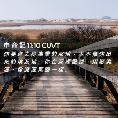 Picture 02 - 申 命 記 11:10 CUVT - 你 要 進 去 得 為 業 的 那 地 ， 本 - Bible Verse Picture