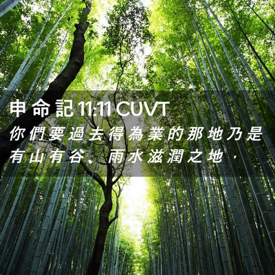 Picture 02 - 申 命 記 11:11 CUVT - 你 們 要 過 去 得 為 業 的 那 地 乃 - Bible Verse Picture