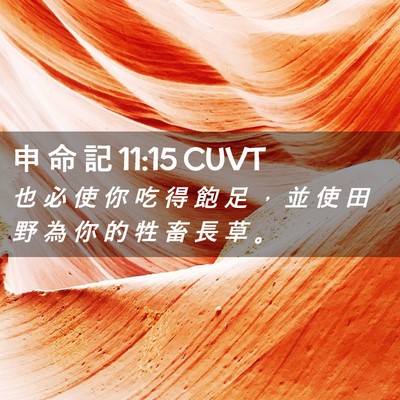 Picture 02 - 申 命 記 11:15 CUVT - 也 必 使 你 吃 得 飽 足 ， 並 使 田 - Bible Verse Picture