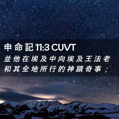 Picture 02 - 申 命 記 11:3 CUVT - 並 他 在 埃 及 中 向 埃 及 王 法 老 - Bible Verse Picture
