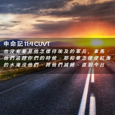 Picture 02 - 申 命 記 11:4 CUVT - 也 沒 有 看 見 他 怎 樣 待 埃 及 的 - Bible Verse Picture