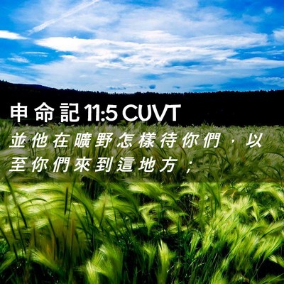 Picture 02 - 申 命 記 11:5 CUVT - 並 他 在 曠 野 怎 樣 待 你 們 ， 以 - Bible Verse Picture