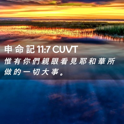 Picture 02 - 申 命 記 11:7 CUVT - 惟 有 你 們 親 眼 看 見 耶 和 華 所 - Bible Verse Picture